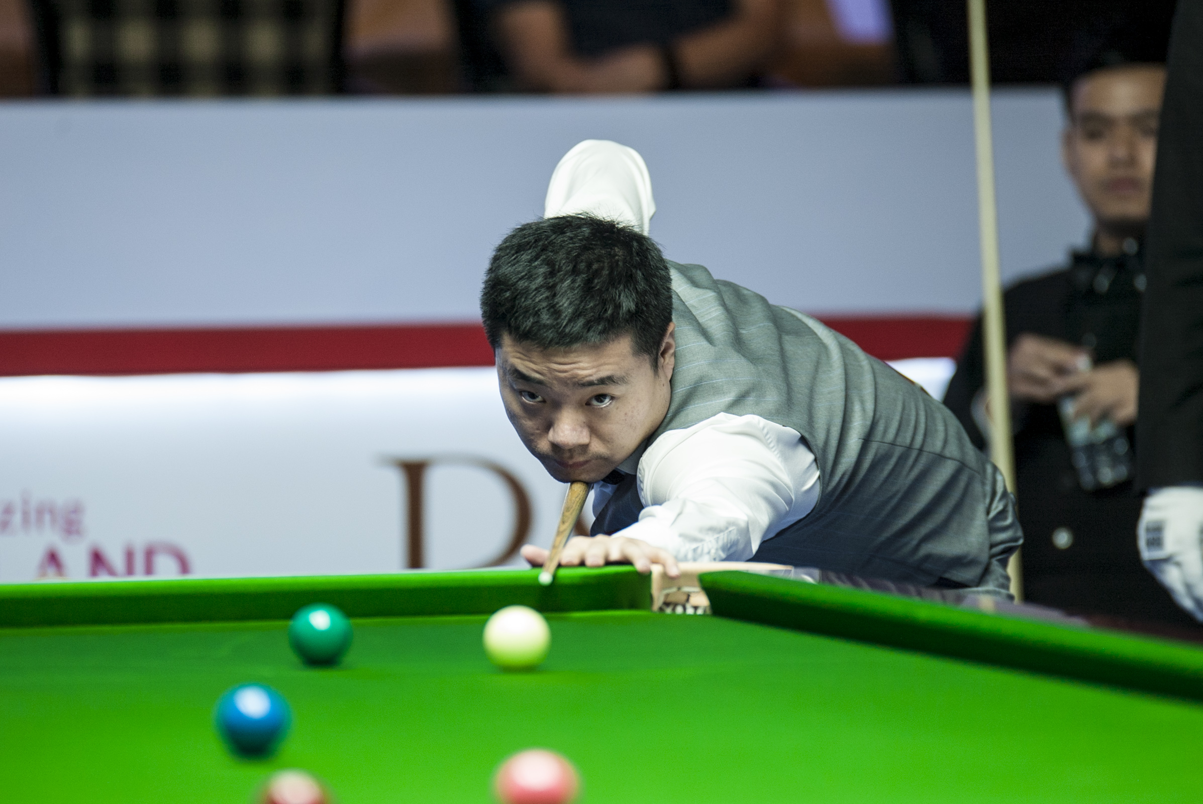 张时期仍可 张时期仍可